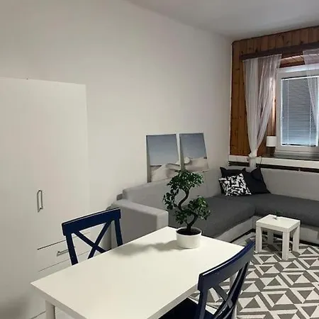 Comfy Good Location Free Parking Apartman